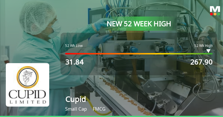 Cupid Ltd Hits New 52-Week High of Rs 267.9 on Back of Strong Technical Signals