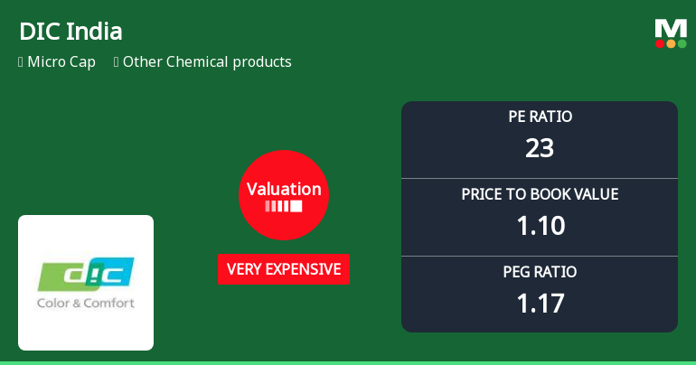DIC India Ltd Valuation Shifts Signal Growing Price Pressure Amid Mixed Returns