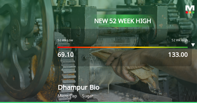 Broad-Based Technical Strength Lifts Dhampur Bio Organics Ltd to 52-Week High of Rs 133