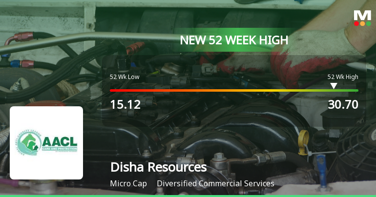 Broad-Based Technical Strength Lifts Disha Resources Ltd to 52-Week High of Rs 30.7