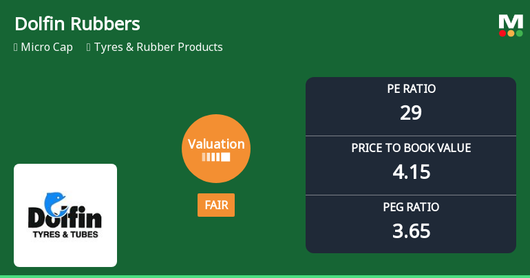 Dolfin Rubbers Ltd Valuation Shifts Signal Changing Market Sentiment