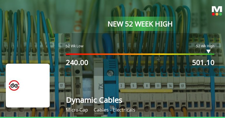 Broad-Based Technical Strength Lifts Dynamic Cables Ltd to 52-Week High of Rs 501.1