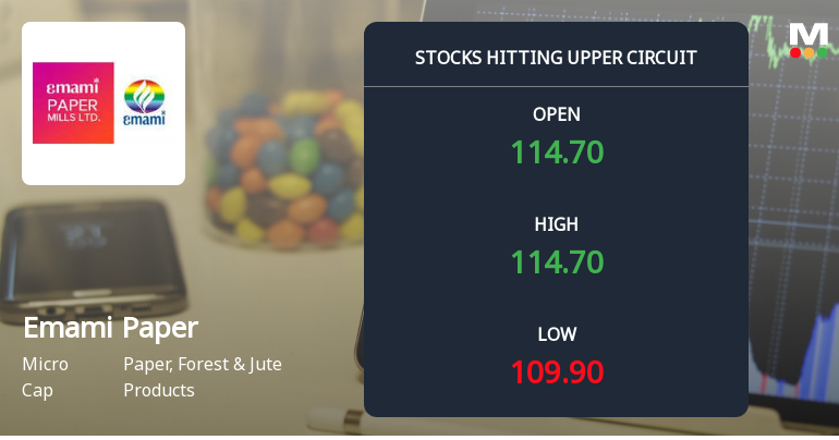 Emami Paper Mills Ltd Locks at Upper Circuit With 2.86% Gain — Buyers Queue, Sellers Absent