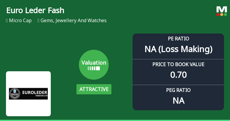 Euro Leder Fashion Ltd Valuation Shifts Signal Renewed Price Attractiveness