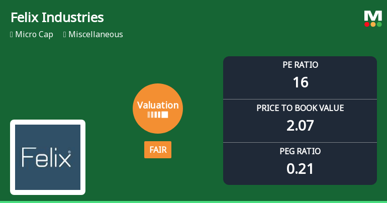 Felix Industries Ltd Valuation Shifts Signal Renewed Price Attractiveness