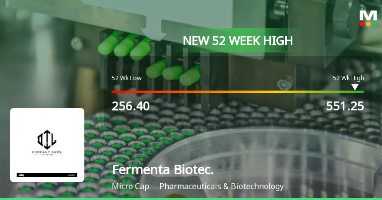 Broad-Based Technical Strength Lifts Fermenta Biotech Ltd to 52-Week High of Rs 525
