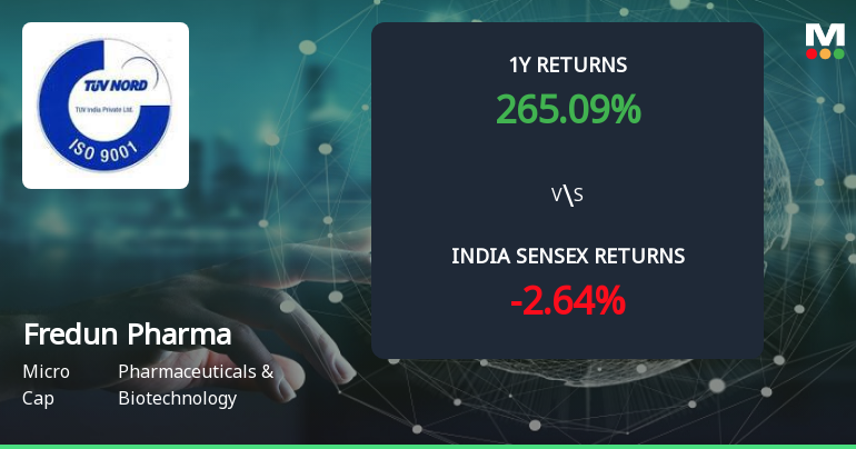 265% Stock Return, 89.6% Profit Growth: What's Driving Fredun Pharmaceuticals Ltd's Multibagger Rerating?