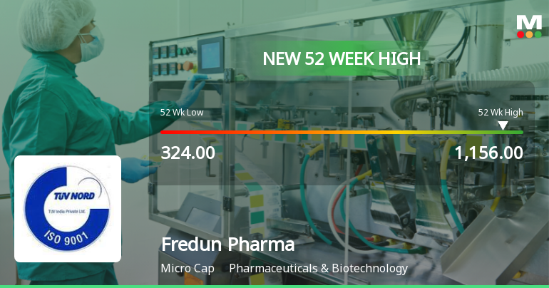 Broad-Based Technical Strength Lifts Fredun Pharmaceuticals Ltd to 52-Week High of Rs 1156