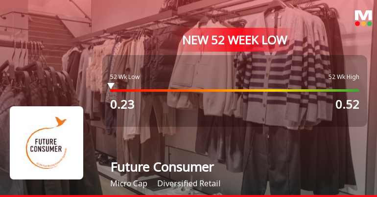 Future Consumer Ltd Falls to 52-Week Low of Rs 0.23 as Sell-Off Deepens