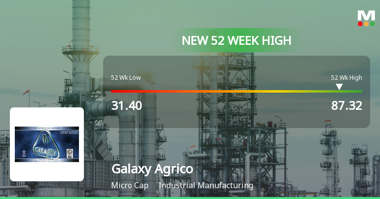 Broad-Based Technical Strength Lifts Galaxy Agrico Exports Ltd to 52-Week High of Rs 87.32