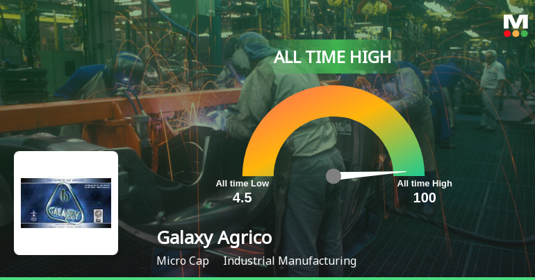 Galaxy Agrico Exports Ltd Hits All-Time High of Rs 100 as Momentum Builds Across Timeframes