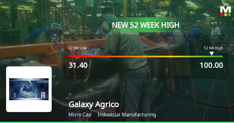 Broad-Based Technical Strength Lifts Galaxy Agrico Exports Ltd to 52-Week High of Rs 100