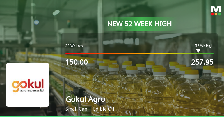 Broad-Based Technical Strength Lifts Gokul Agro Resources to 52-Week High of Rs 254.75