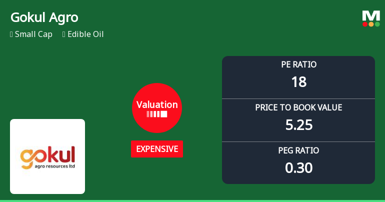 Gokul Agro Resources Ltd Valuation Shifts Signal Changing Market Sentiment