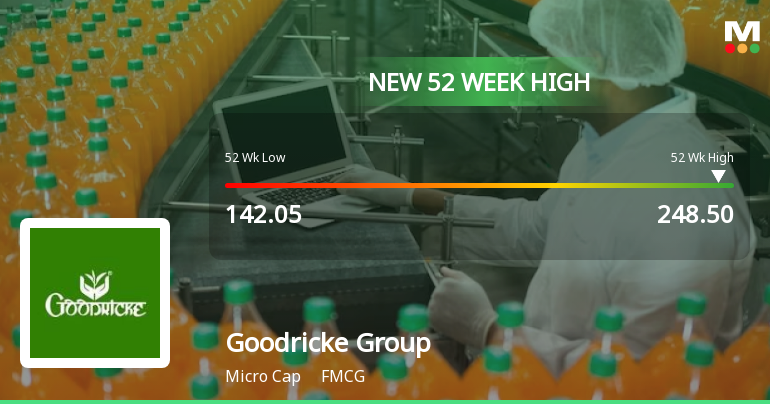 Broad-Based Technical Strength Lifts Goodricke Group Ltd to 52-Week High of Rs 248.5