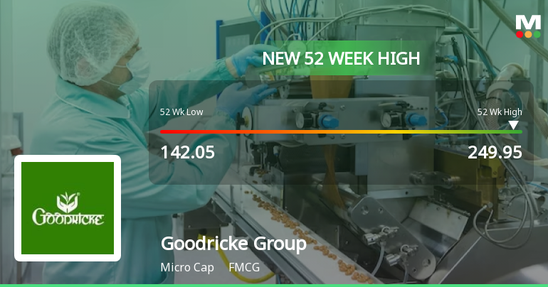 Broad-Based Technical Strength Lifts Goodricke Group Ltd to 52-Week High of Rs 249.95