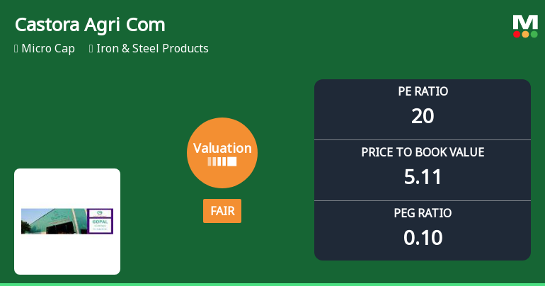Gopal Iron & Steels Co.(Gujarat) Ltd Valuation Shifts Signal Changing Market Sentiment