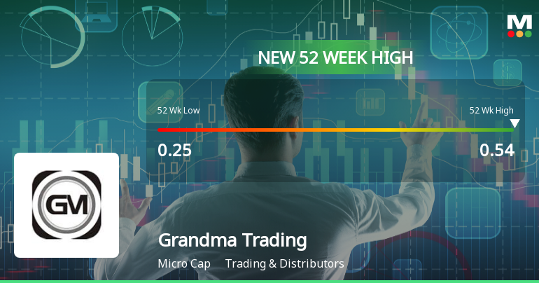 Broad-Based Technical Strength Lifts Grandma Trading & Agencies Ltd to 52-Week High of Rs 0.54