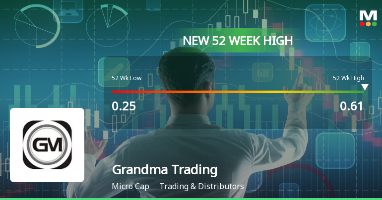 Broad-Based Technical Strength Lifts Grandma Trading & Agencies Ltd to 52-Week High of Rs 0.61
