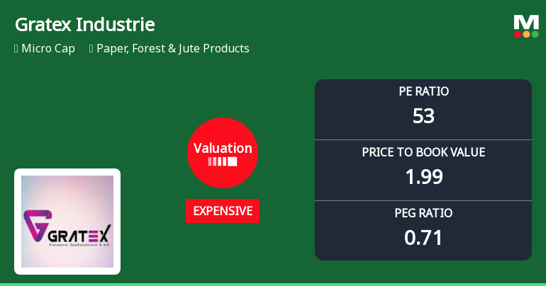 Gratex Industries Ltd Valuation Shifts Signal Expensive Terrain Amid Mixed Returns
