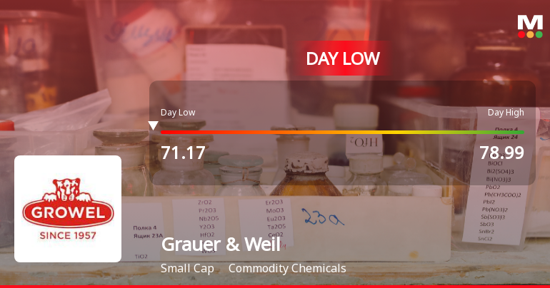 Grauer & Weil (India) Ltd Hits Intraday Low Amid Price Pressure