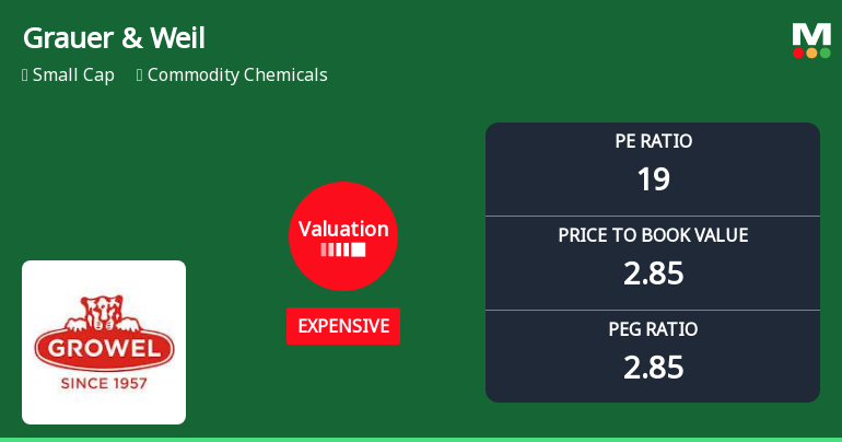 Grauer & Weil (India) Ltd: Valuation Shifts Signal Price Attractiveness Decline Amid Sector Pressure