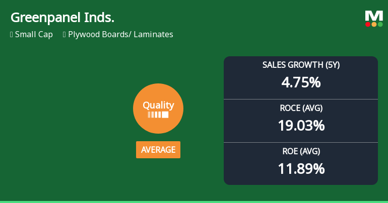 Greenpanel Industries Ltd Quality Grade Downgrade: A Detailed Analysis of Business Fundamentals