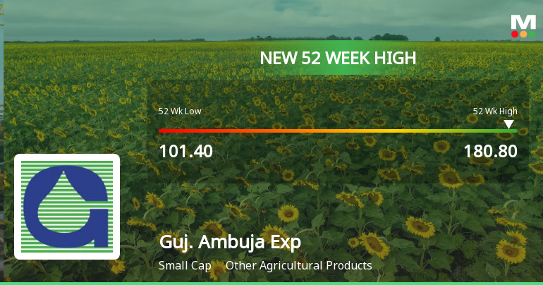 Broad-Based Technical Strength Lifts Gujarat Ambuja Exports Ltd to 52-Week High of Rs 178.75