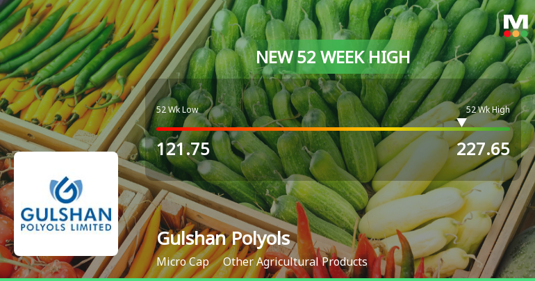 Broad-Based Technical Strength Lifts Gulshan Polyols Ltd to 52-Week High of Rs 227.65