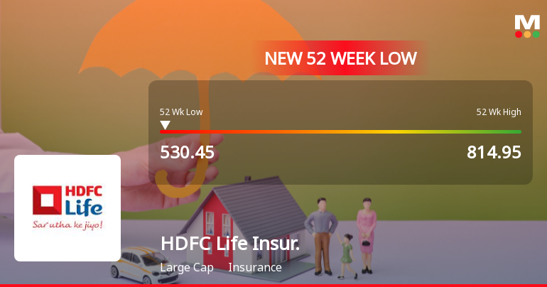 Markets Rally, But HDFC Life Insurance Company Ltd Sinks to 52-Week Low in Stock-Specific Sell-Off