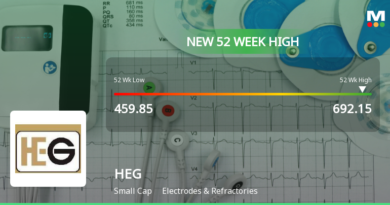 Broad-Based Technical Strength Lifts HEG Ltd to 52-Week High of Rs 692.15