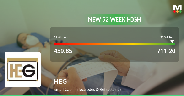 Broad-Based Technical Strength Lifts HEG Ltd to 52-Week High of Rs 711.2