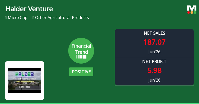 Halder Venture Ltd Reports Mixed Quarterly Results Amid Margin Pressures