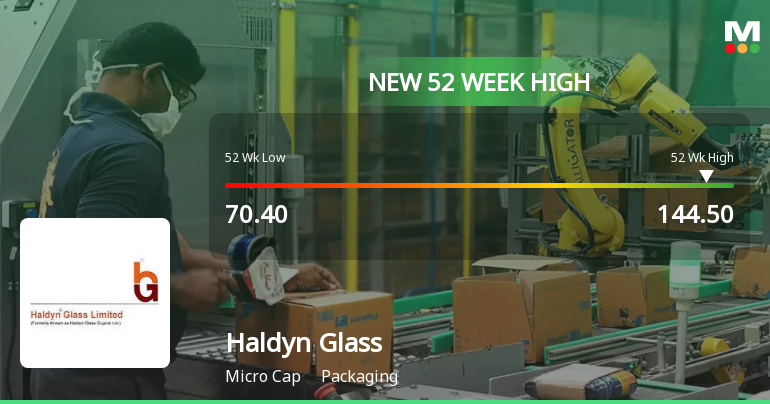 Broad-Based Technical Strength Lifts Haldyn Glass Ltd to 52-Week High of Rs 144.5