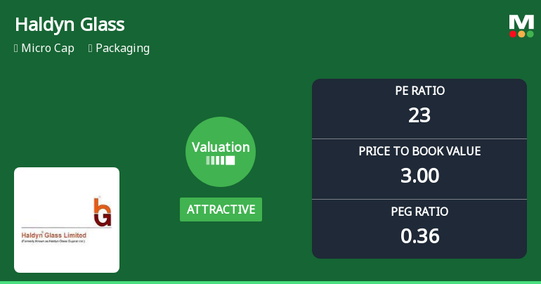 Haldyn Glass Ltd Valuation Shifts Signal Renewed Price Attractiveness