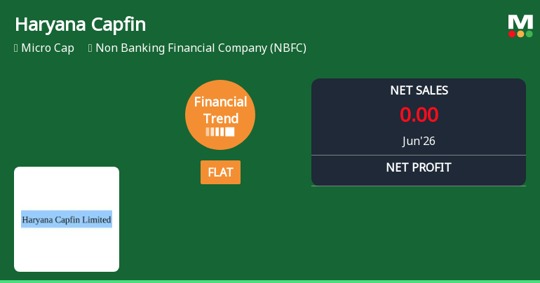 Haryana Capfin Ltd Reports Flat Quarterly Performance Amid Margin Pressures