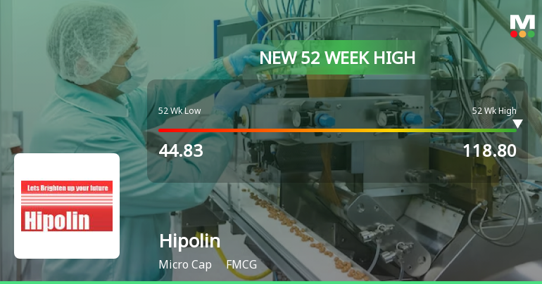 Broad-Based Technical Strength Lifts Hipolin Ltd to 52-Week High of Rs 118.8