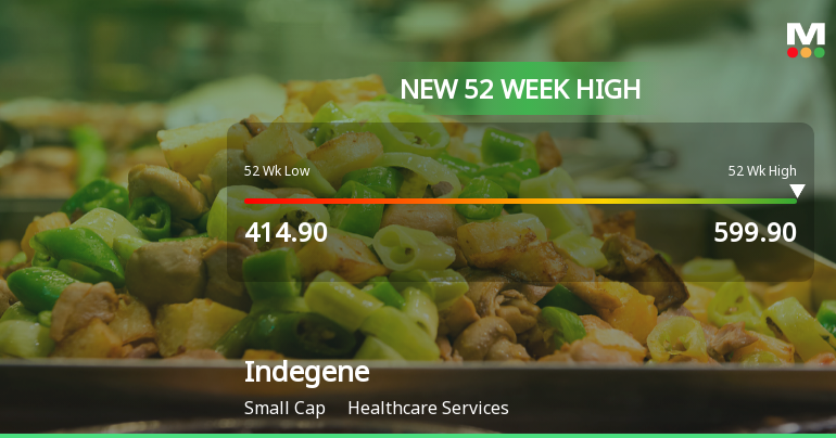 Broad-Based Technical Strength Lifts Indegene Ltd to 52-Week High of Rs 599.9