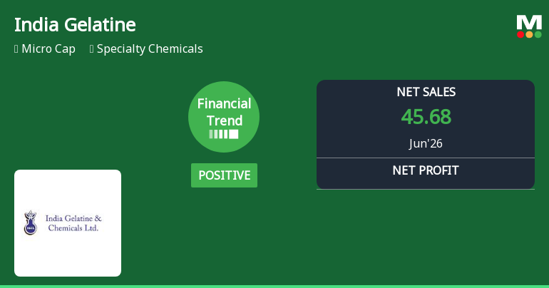 India Gelatine & Chemicals Ltd Reports Strong Quarterly Turnaround with Robust Margin Expansion