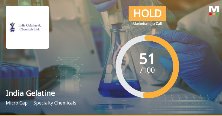 India Gelatine & Chemicals Ltd is Rated Hold