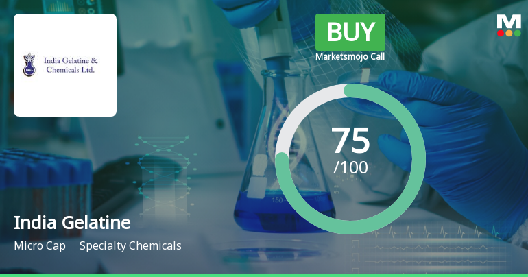 India Gelatine & Chemicals Ltd is Rated Buy