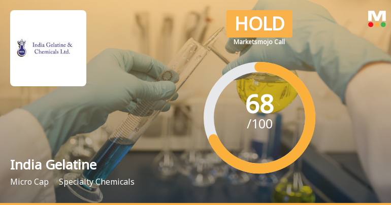 India Gelatine & Chemicals Ltd Downgraded to Hold Amid Mixed Technical and Valuation Signals