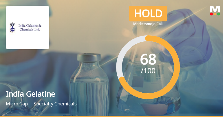 India Gelatine & Chemicals Ltd is Rated Hold
