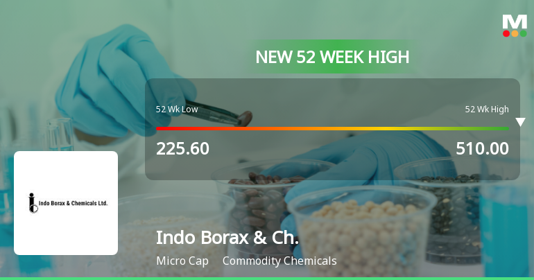 Broad-Based Technical Strength Lifts Indo Borax & Chemicals Ltd to 52-Week High of Rs 520