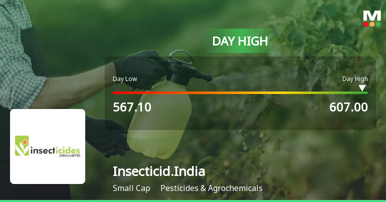 Insecticides India Ltd Surges 7.3% to Day's High of Rs 606.3 — Outperforms Sector by 6.84 Percentage Points