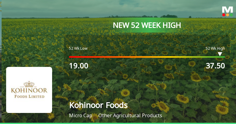 Broad-Based Technical Strength Lifts Kohinoor Foods Ltd to 52-Week High of Rs 37.5