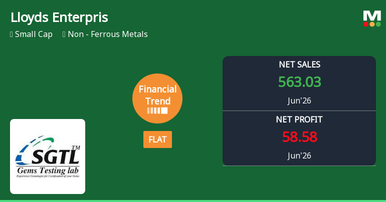 Lloyds Enterprises Ltd Reports Flat Quarterly Performance Amid Mixed Financial Indicators