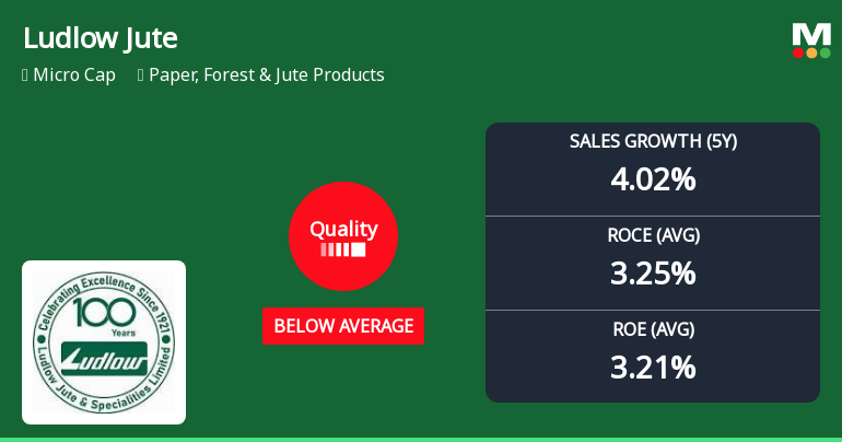 Ludlow Jute & Specialities Ltd Quality Grade Downgrade: A Detailed Fundamental Analysis