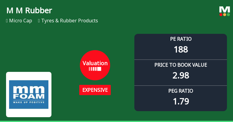 M M Rubber Co Ltd Valuation Shifts Signal Elevated Price Risk