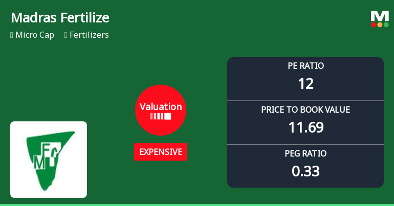 Madras Fertilizers Ltd Valuation Shifts Signal Expensive Territory Amid Mixed Returns